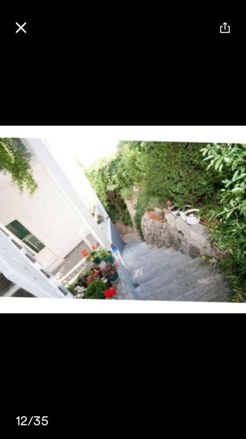 Nina Apartament